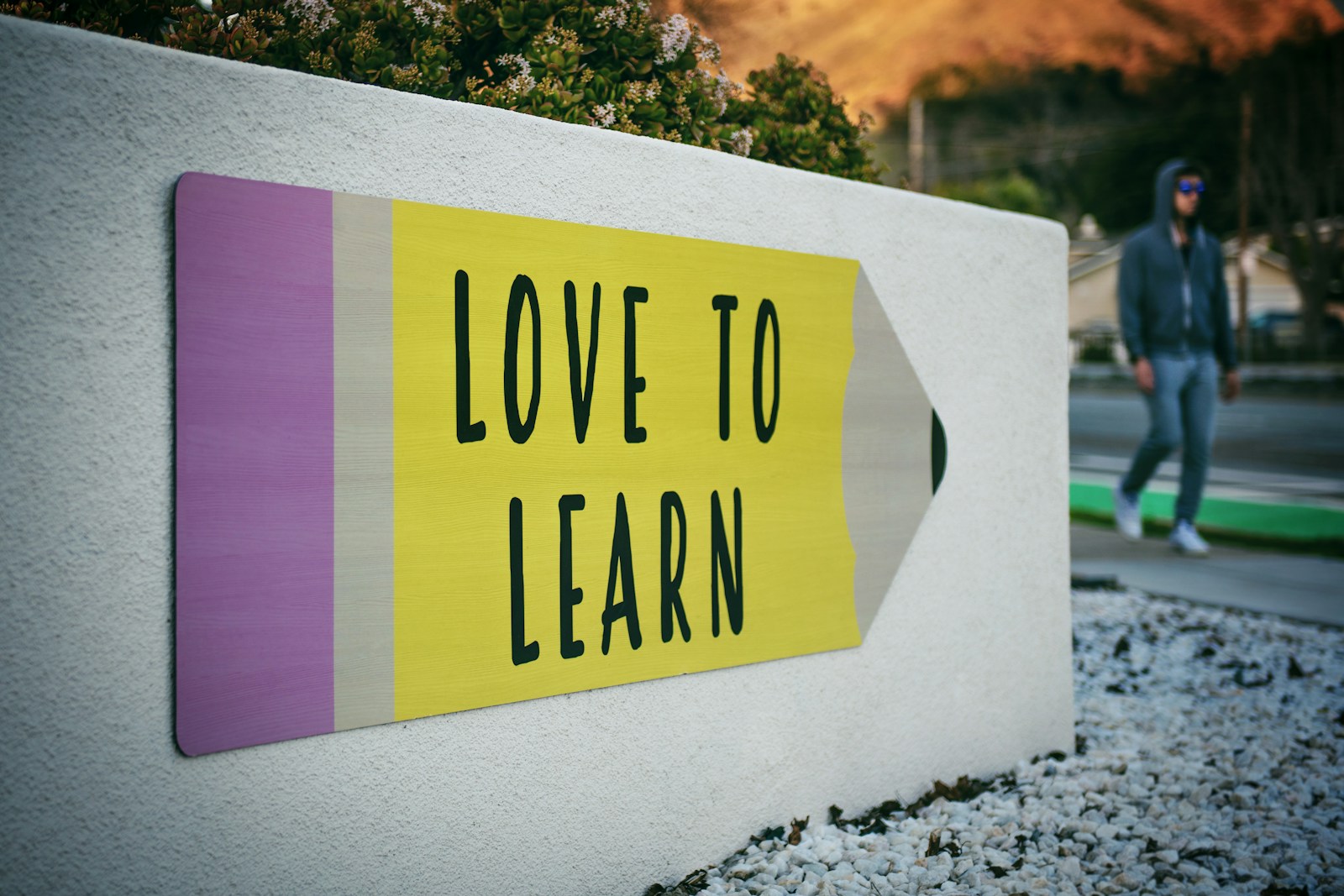 Education